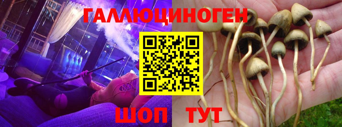 Кудрово  Галлюциногенные грибы ЛСД  Вход с VPN 