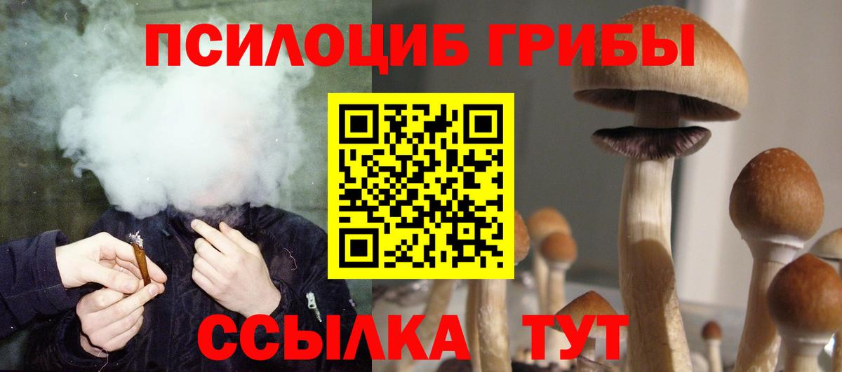 Галлюциногенные грибы Psilocybe Кудрово
